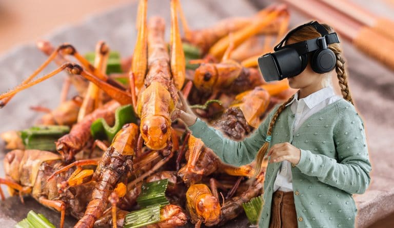 Då kommer den virtuella butiken – hjälper dig att köpa insektssnacks