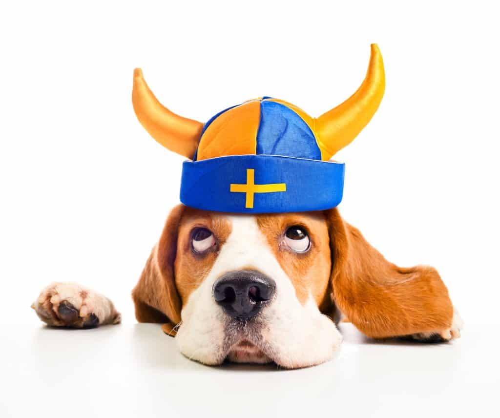 Sverige har EU:s bästa förutsättningar för e-handel