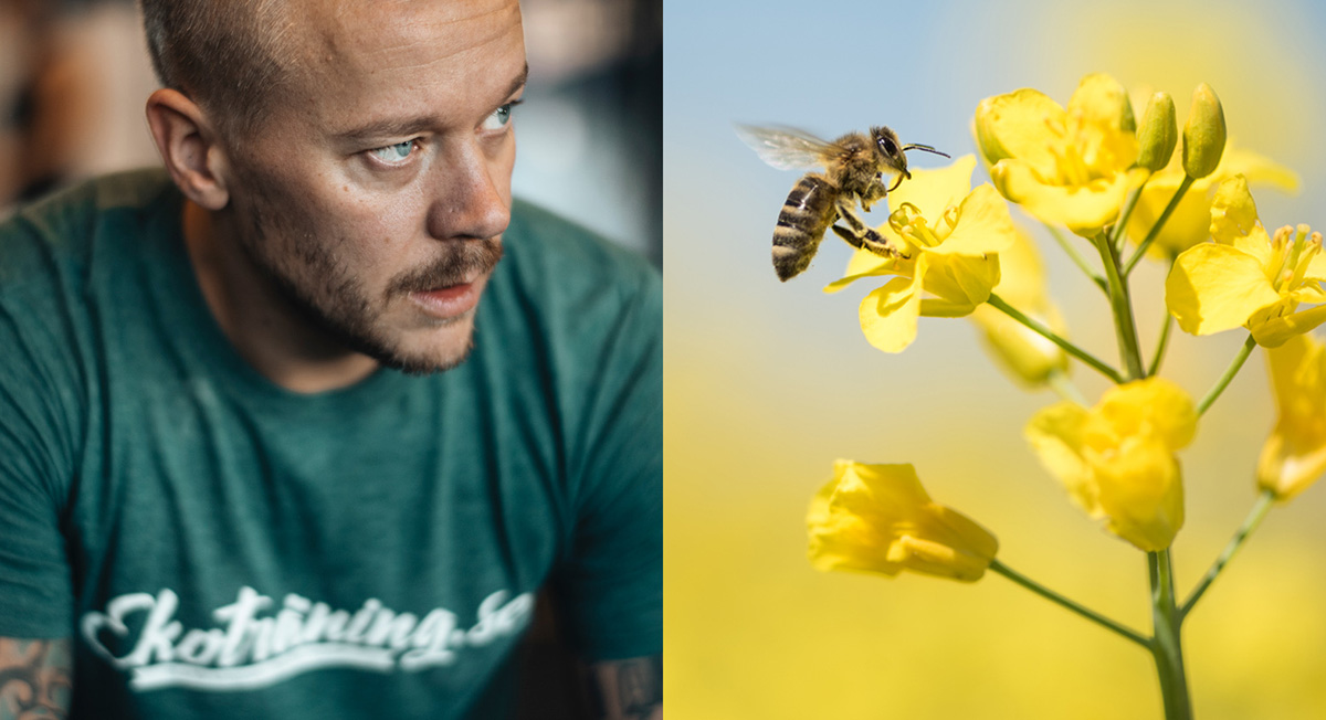 Vägrar delta i Black Friday - ska rädda bina istället