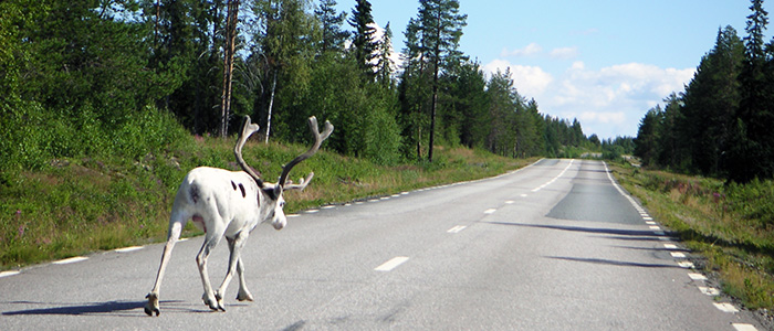 Sorseles invånare är bäst i Sverige på E-julhandel