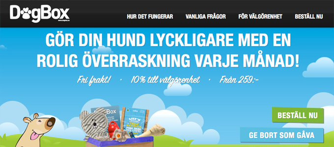 Överraskningar för hunden som ett brev på posten