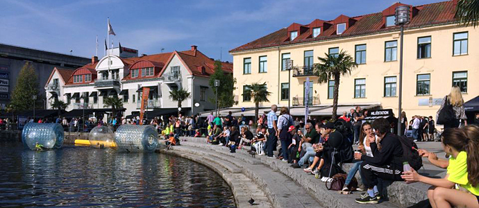 Handelsrådet i Borås vill se ett E-handelshus i staden