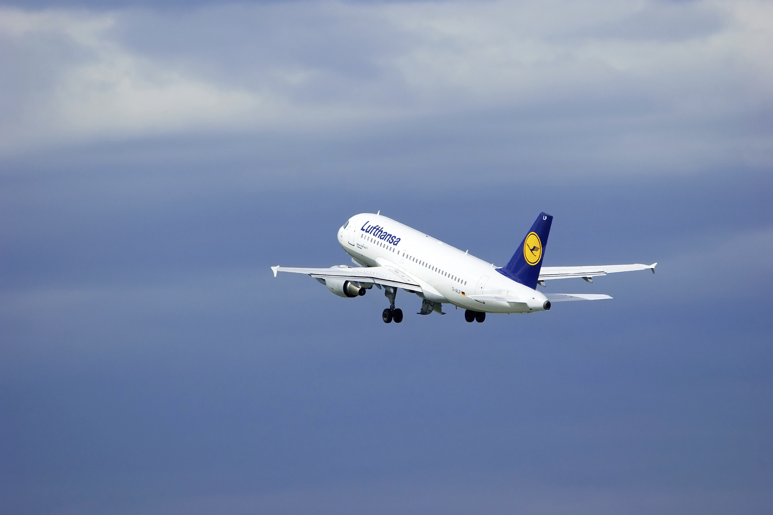 Flygbolagen flyger oftare i den växande e-handelns tjänst